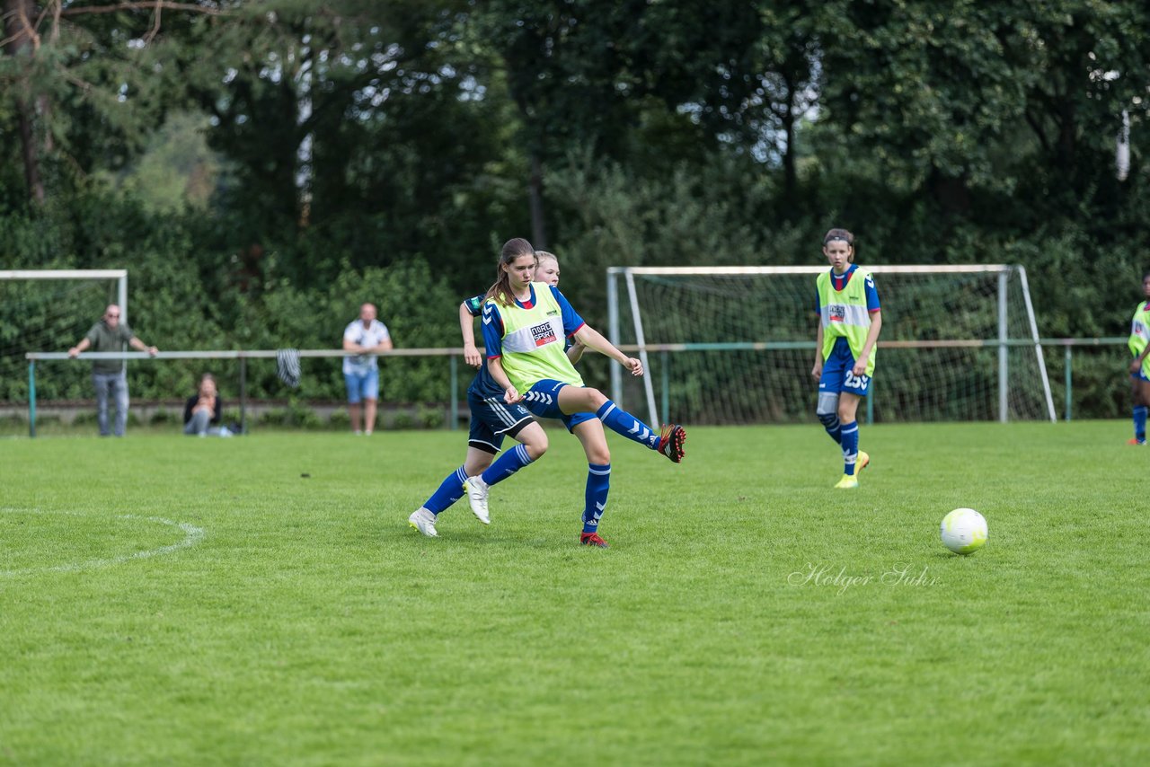 Bild 317 - B-Juniorinnen VfL Pinneberg - HSV : Ergebnis: 1:4